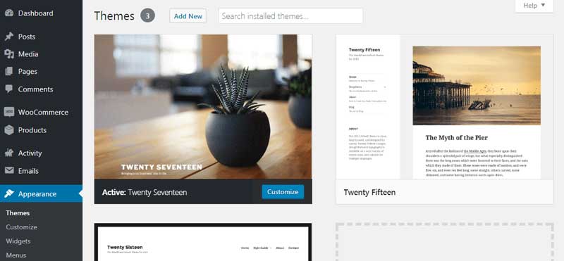 WordPress Dashboard showing themes