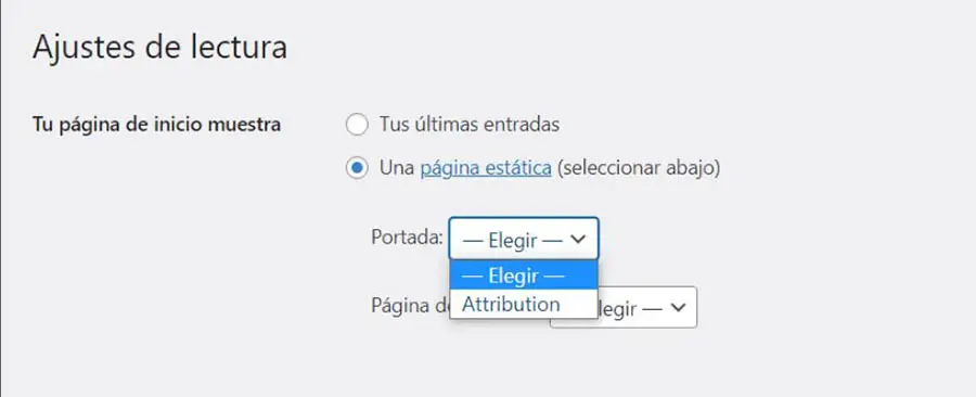 ajustes de página alternativa en el panel de WordPress
