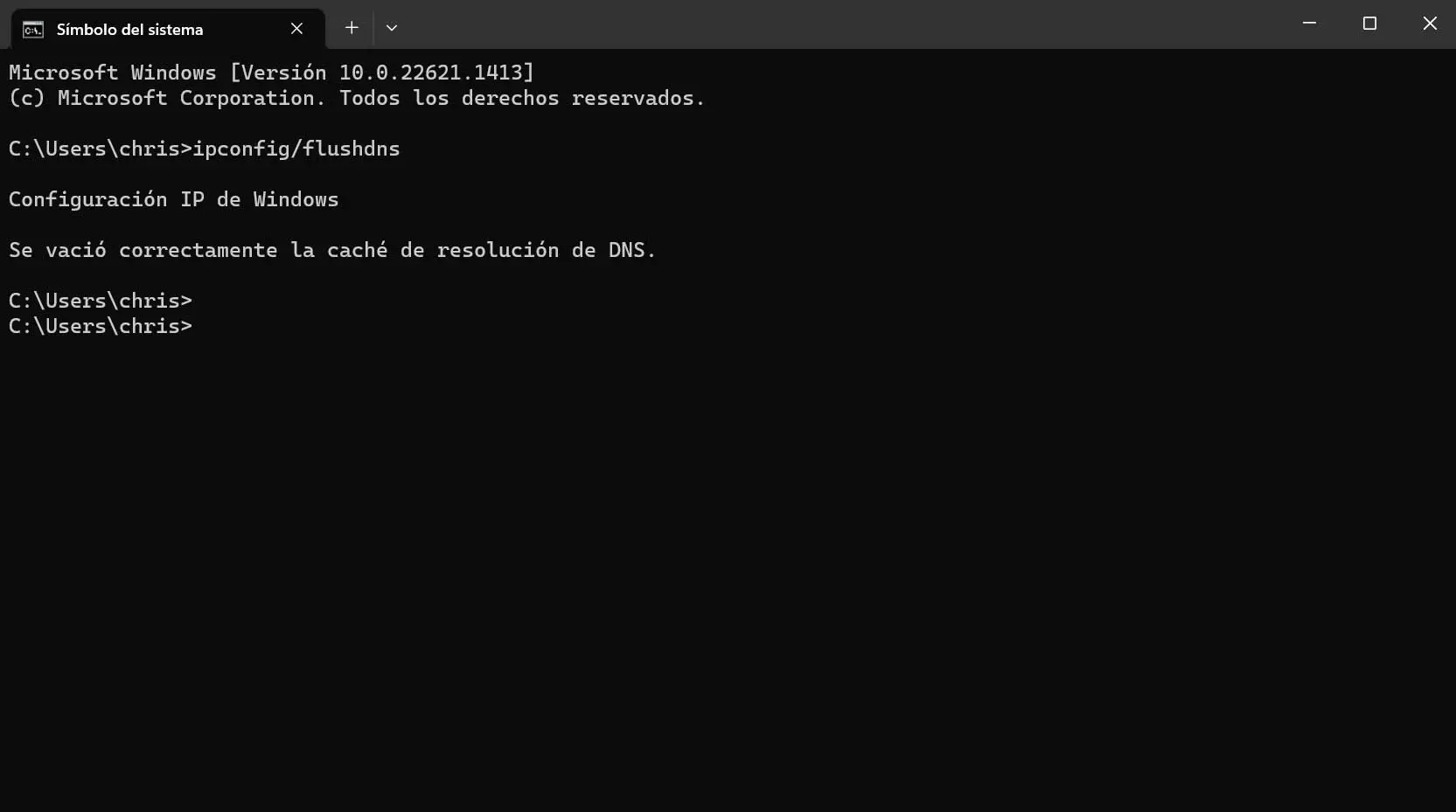 DNS Flush simbolo de sistema de Windows