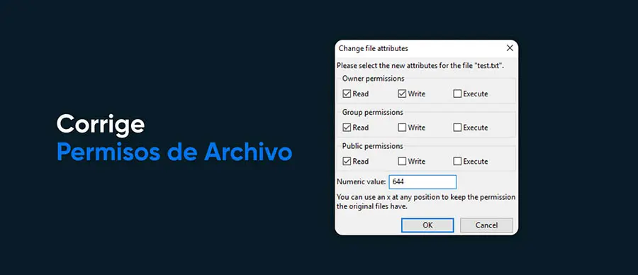 Permisos de Archivo de Servidor
