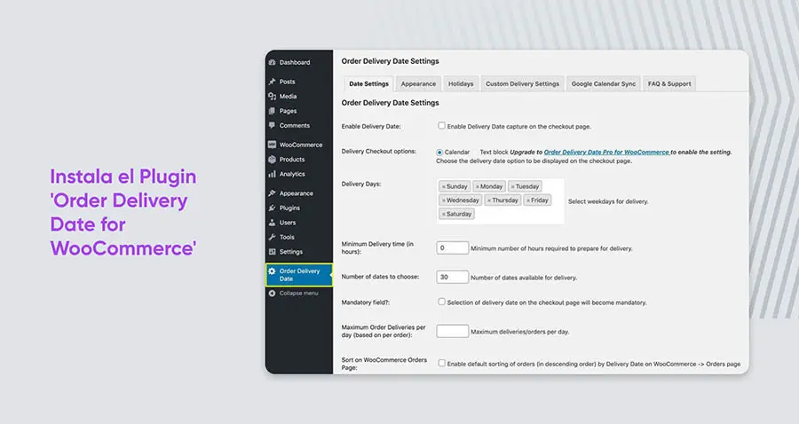 Opciones a llenar en el plugin Order delivery date for WooCommerce.