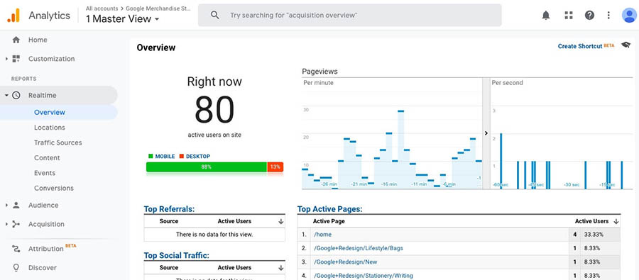 “The Google Analytics dashboard showing page view information.”