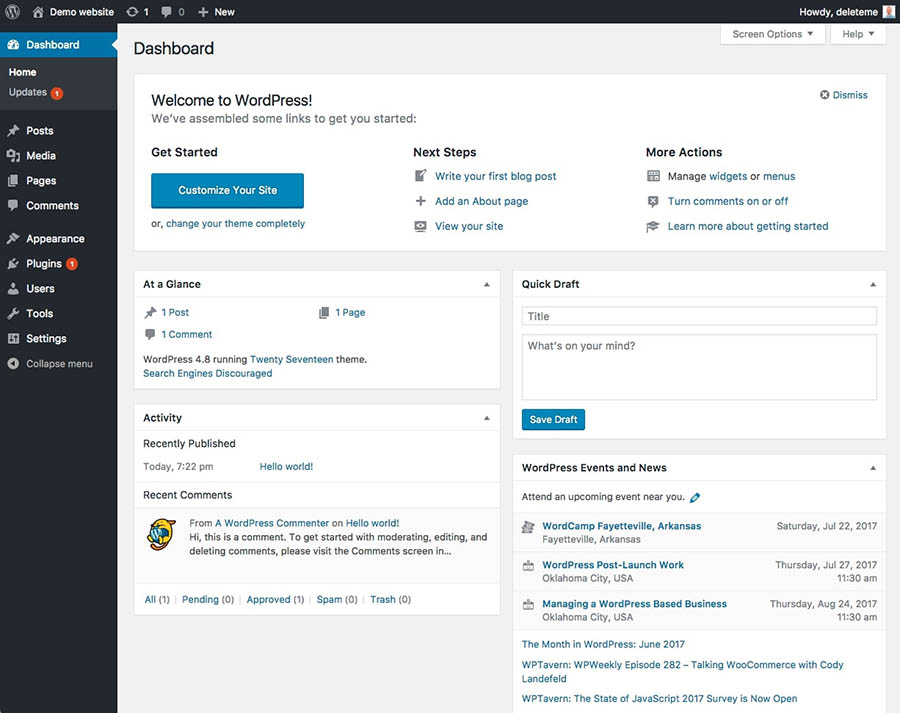 wordpress dashboard overview