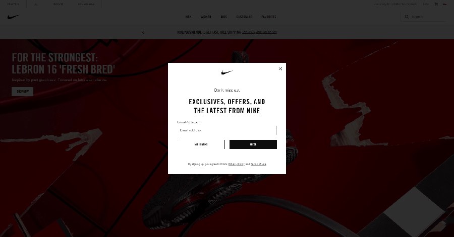 An example of a website pop-up.