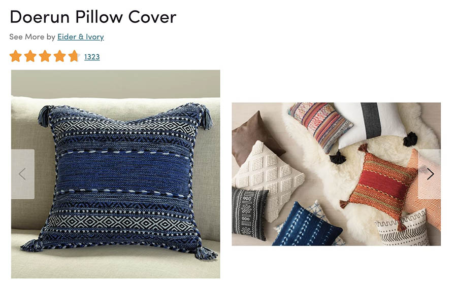 A product photo of a throw pillow from Wayfair.