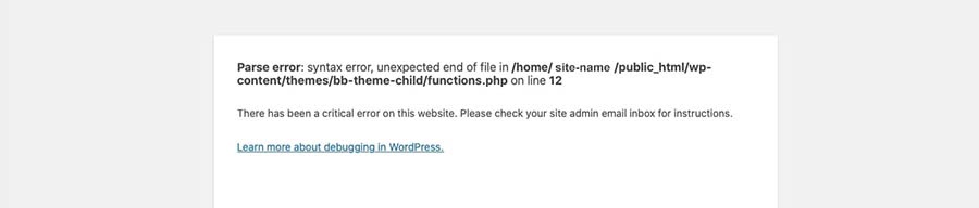 A WordPress syntax error message.