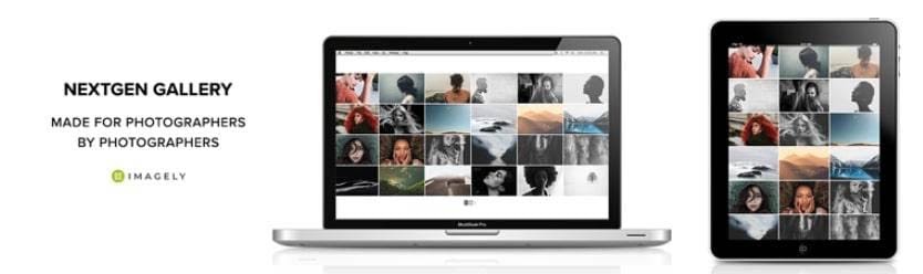 The NextGEN Gallery WordPress plugin.