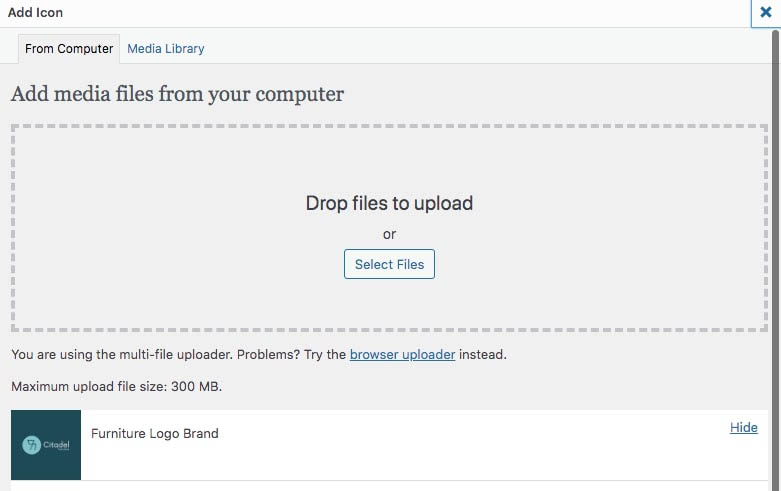 WordPress media library file upload