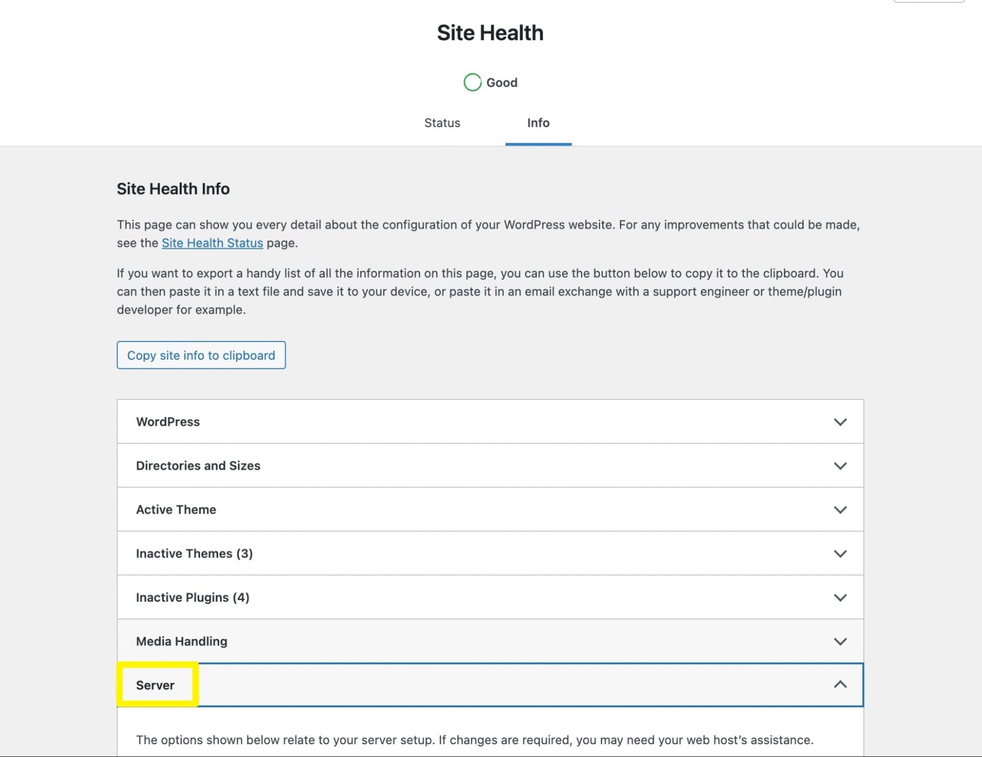 view server Site Health in WordPress