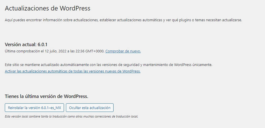 La sección de actualizaciones del escritorio de WordPress.