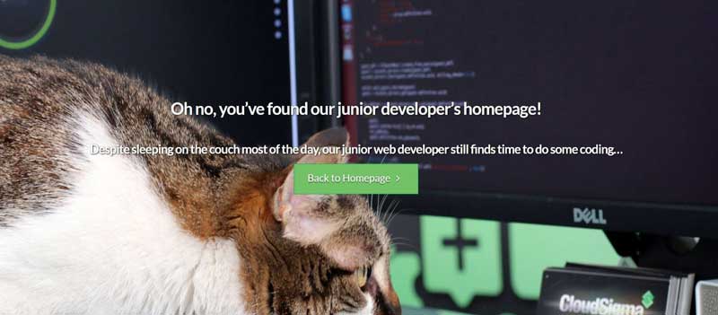 404 error page example