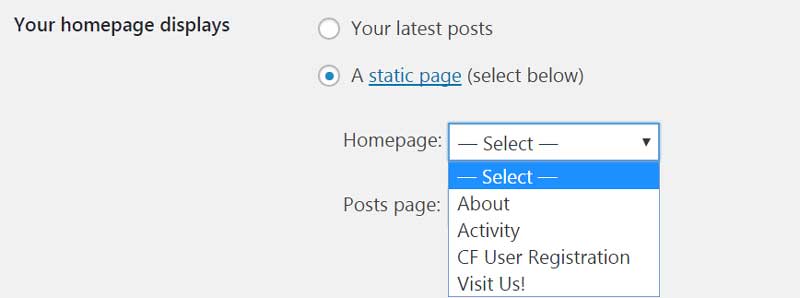 editing the homepage settings in WordPress reading settings