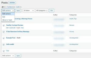 Beginner's Guide to WordPress Posts - DreamHost