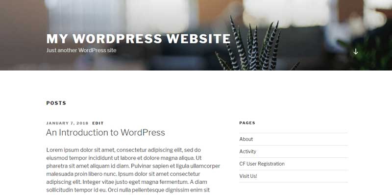 the WordPress posts page