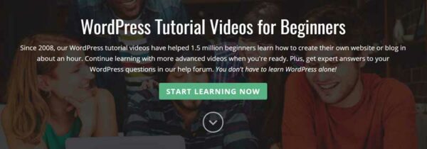 What is WordPress? A Beginner's Guide - DreamHost