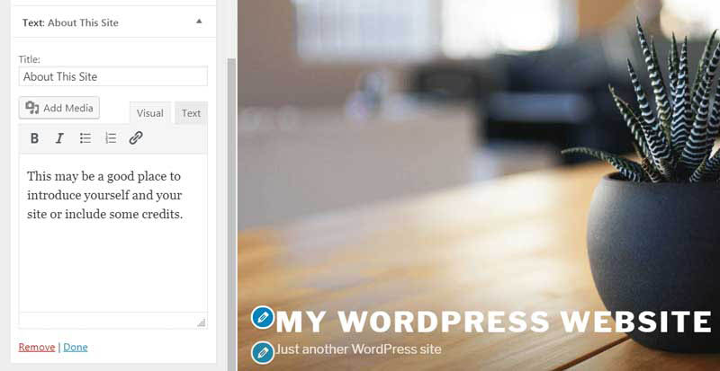 Widget de texto en el panel de WordPress