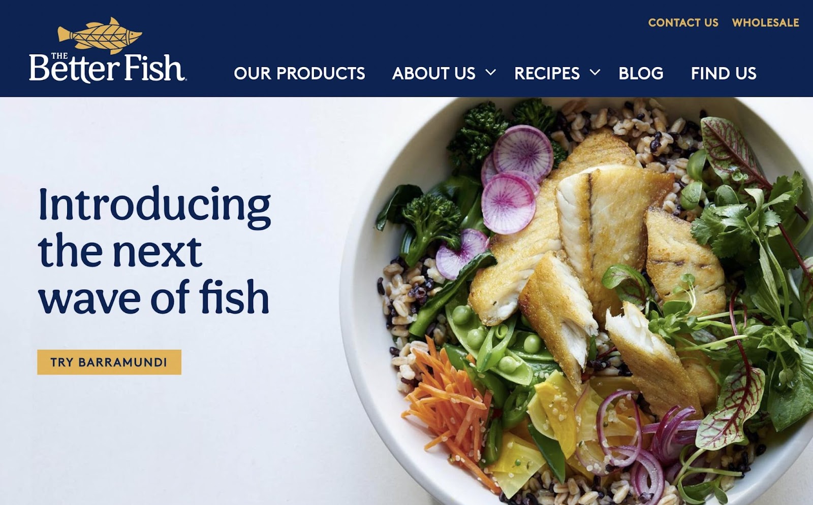 The Better Fish Website Hero