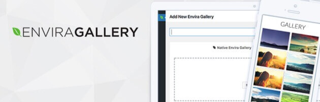Envira Gallery plugin