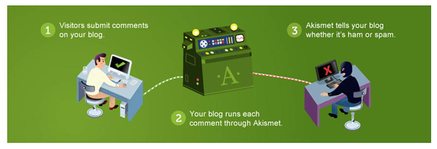 The Akismet Anti-Spam WordPress plugin.