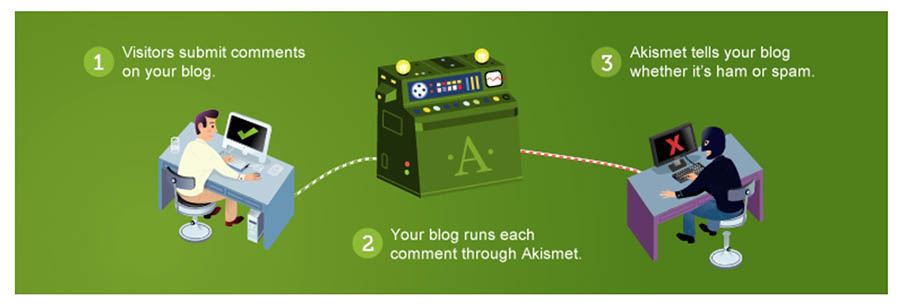The Akismet Anti-Spam WordPress plugin.