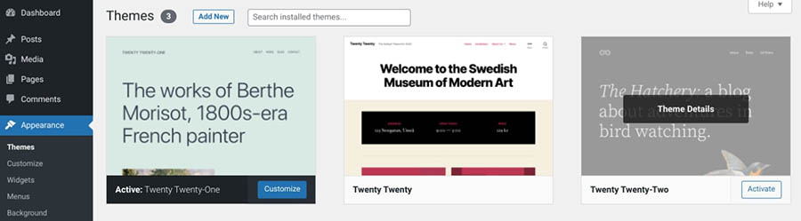The Themes installation page in WordPress
