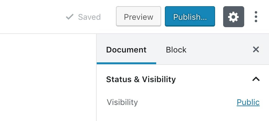 The Publish button in the WordPress editor.