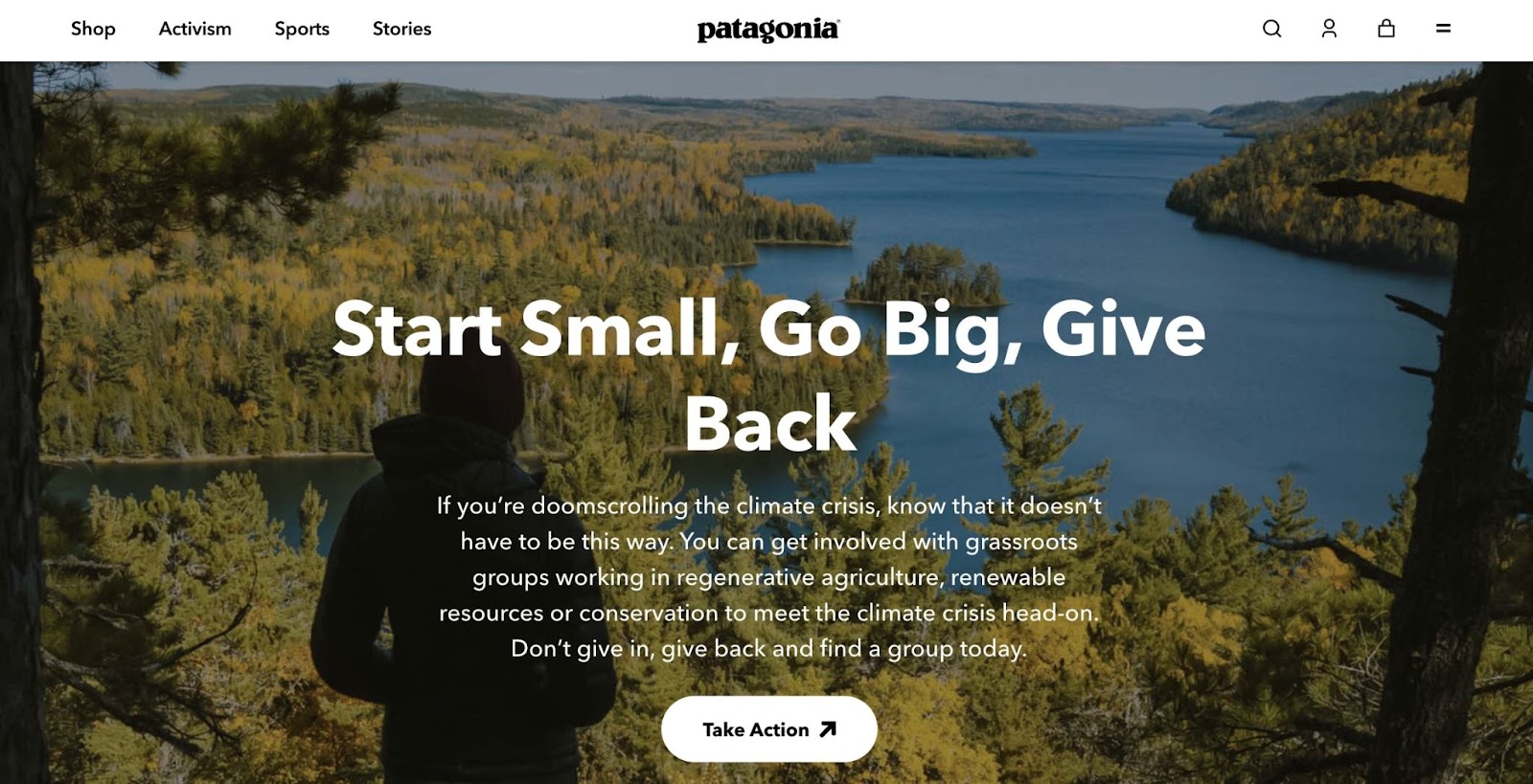 Patagonia call to action (CTA) example