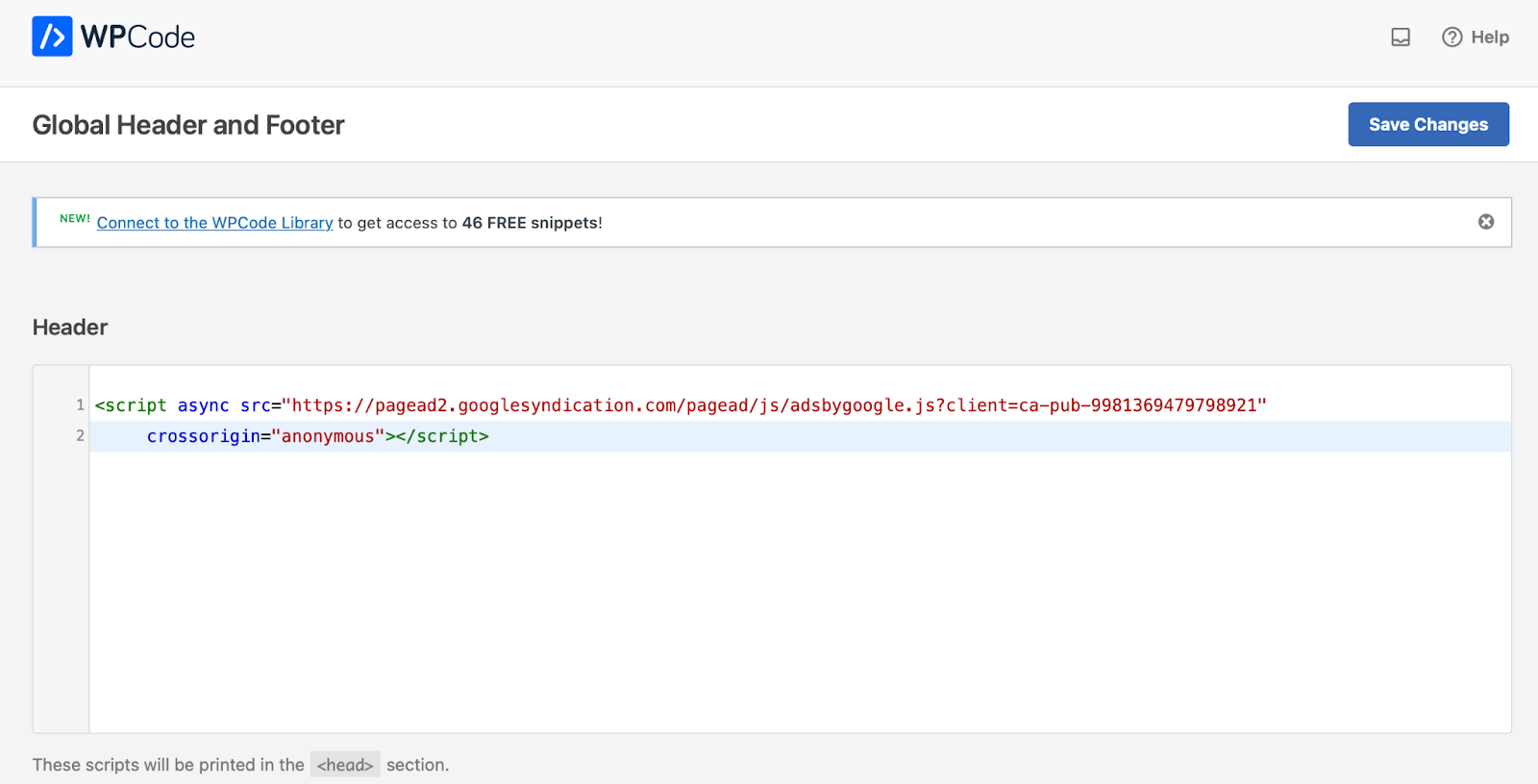 Add your Google auto ads code to WP Code