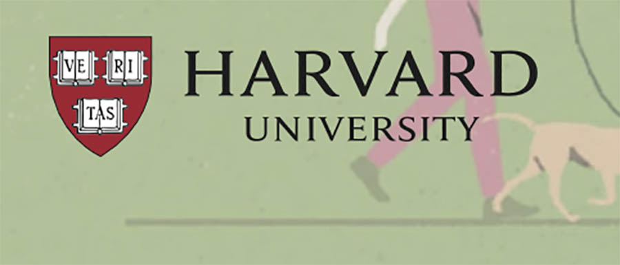 Ejemplo de un logo con emblema