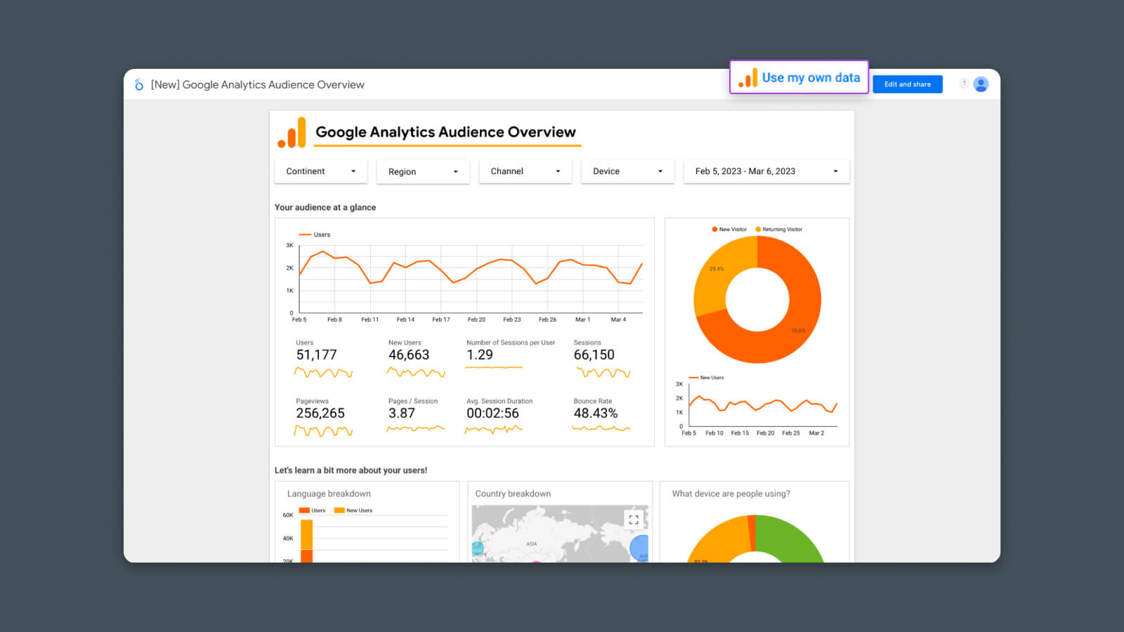 Google Analytics Audience report template