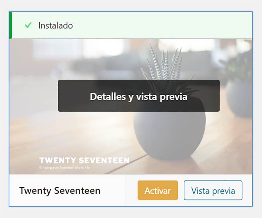 Tema Twenty Seventeen WordPress