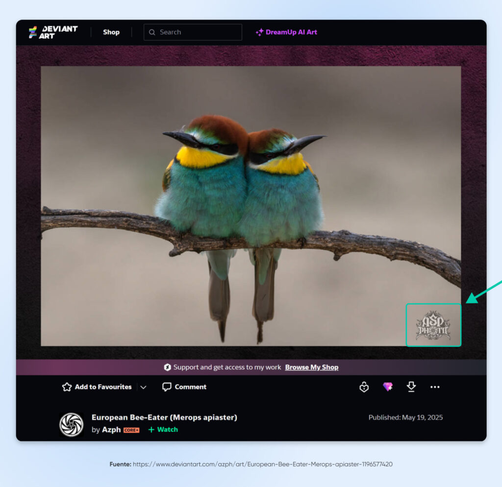 Captura de pantalla de una publicación en DeviantArt que presenta una foto de dos abejarucos europeos, con una marca de agua del artista destacada en la esquina inferior derecha.