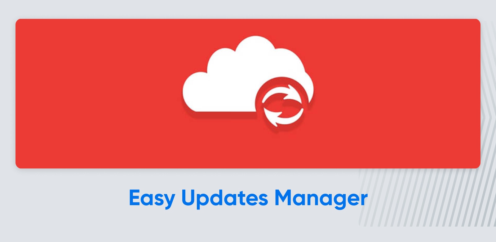 Easy Updates Manager