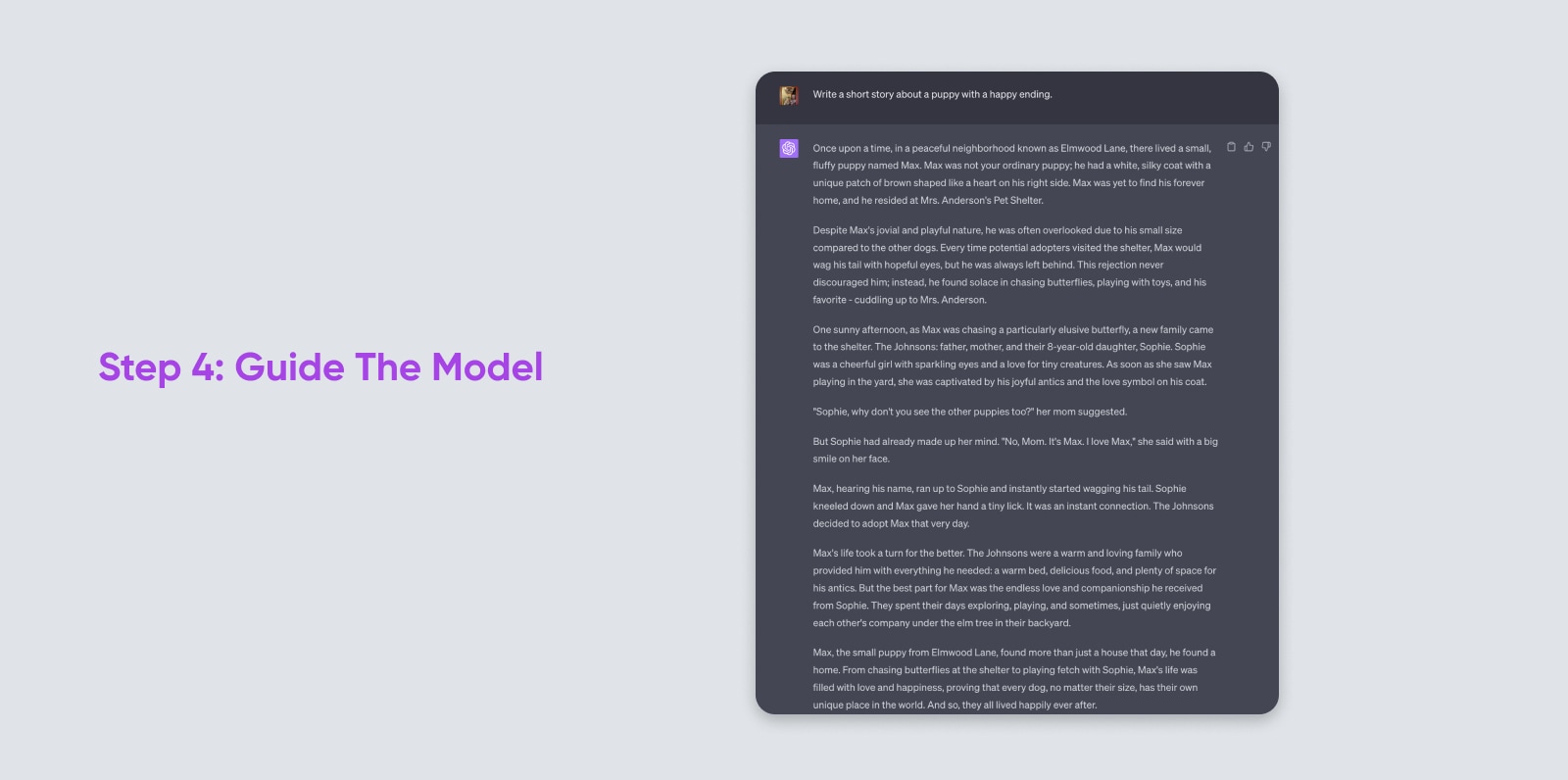 Step 4: Guide the model