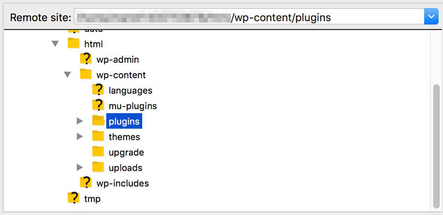 Buscando la carpeta wp-content en el directorio principal de WordPress.