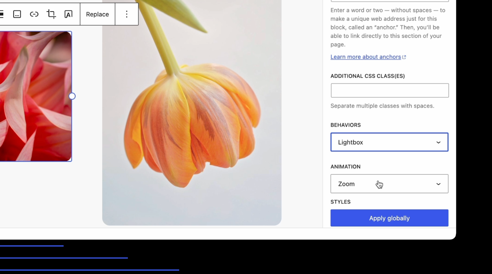 new Image Lightbox block in WordPress 6.4