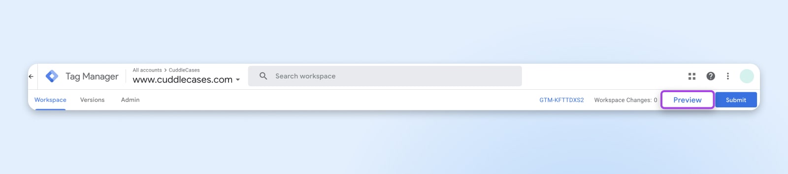 screenshot of the tag manager "preview" option in the top right