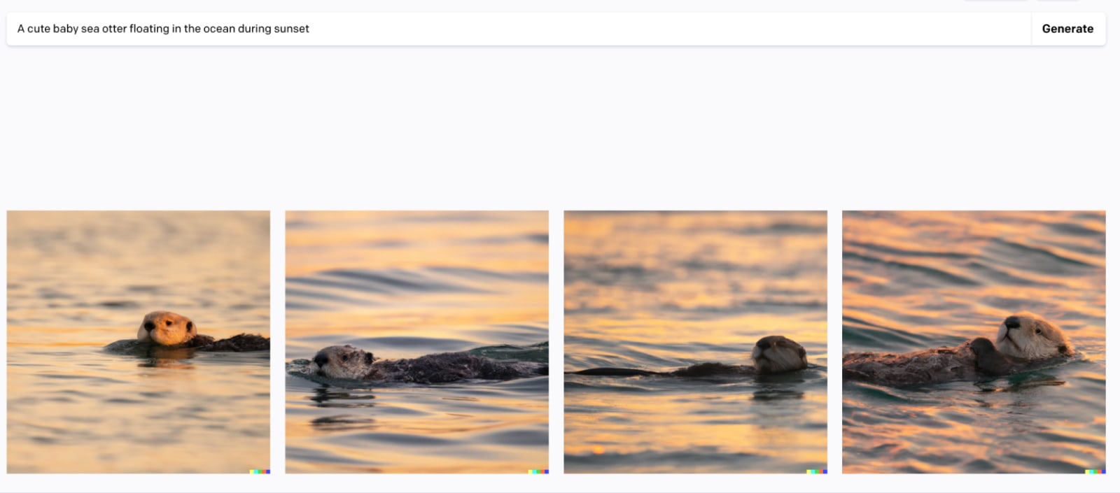 Four similar images to the previous four images of a sea otter floating in water but with orange and yellow overtones indicating the picture is at sunset