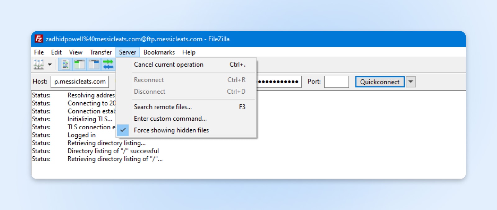 FileZilla's dropdown menu after clicking "Server" with the "Force showing hidden files" option enabled. 
