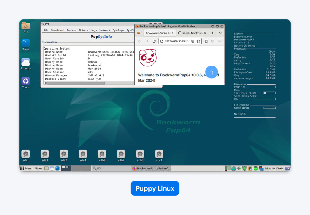 Escritorio de Puppy Linux que muestra información del sistema, una ventana del navegador y los íconos de la barra de tareas sobre un fondo geométrico color teal con la etiqueta “Bookworm Pup64”.