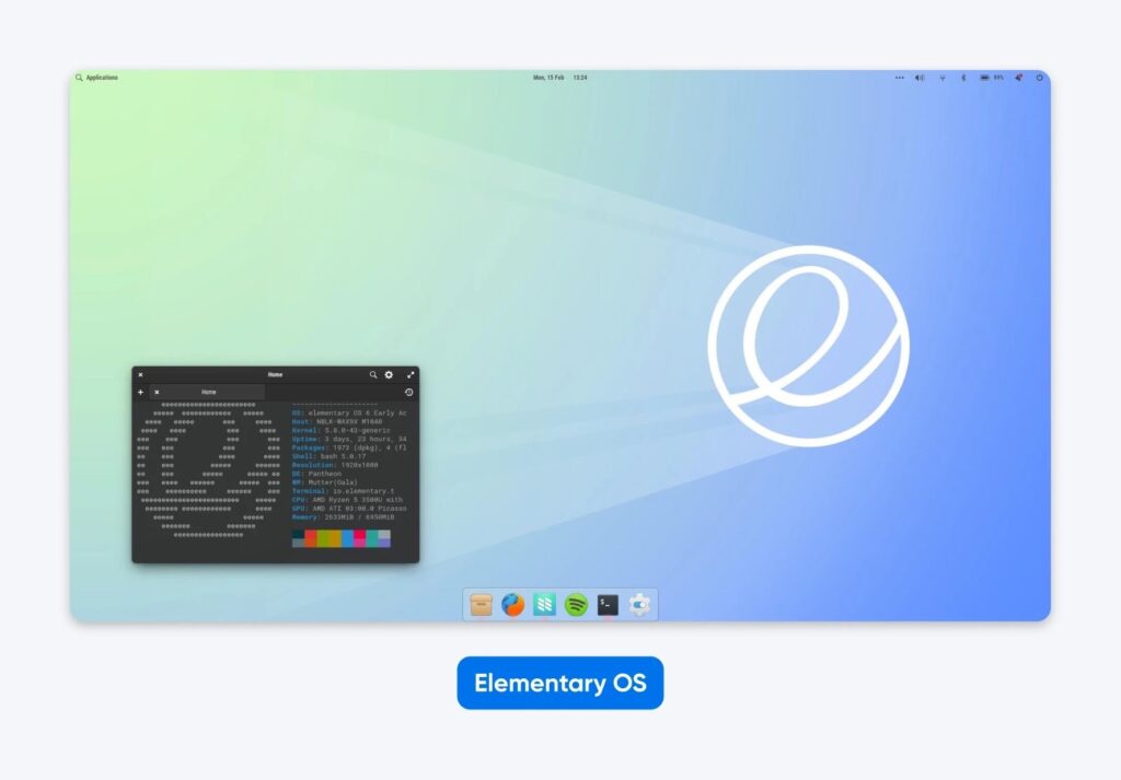 Elementary OS desktop with minimalist dock, light blue gradient wallpaper, and terminal window showing system details and color output.