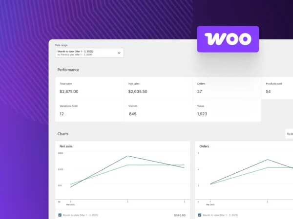 Stop Guessing and Start Growing With WooCommerce Analytics imagen