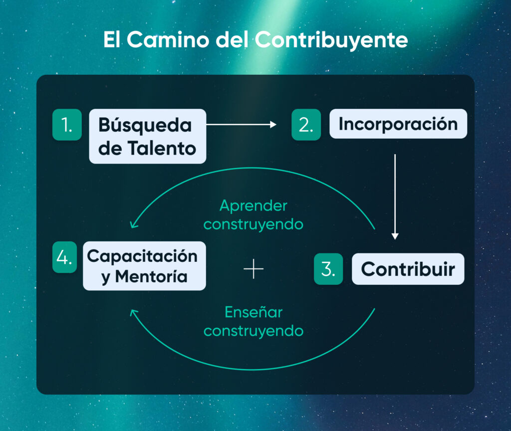 Diagrama de flujo titulado “El Camino del Contribuidor” que muestra cuatro etapas: búsqueda de talento, incorporación, contribución y capacitación con mentoría.