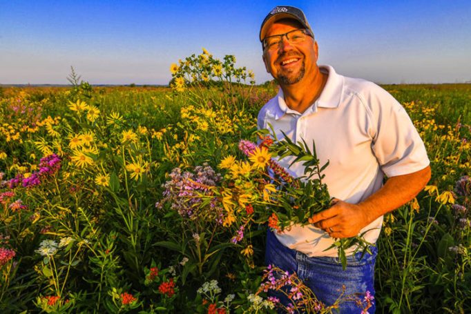How Conservation Blueprint is Saving the World, One Wildflower Seed at a Time thumbnail